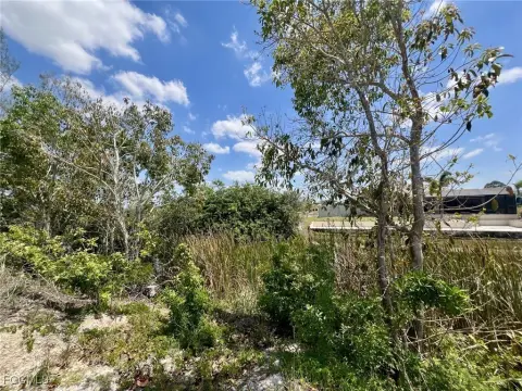 Cape Coral Canal Lot
