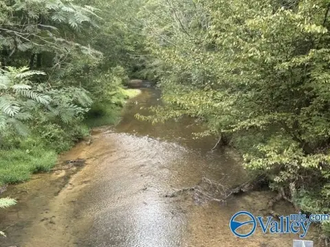 Wooded Recreational Land with Creek