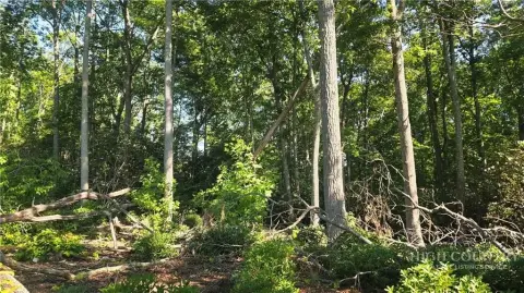 Wooded Mountain View Home Lot