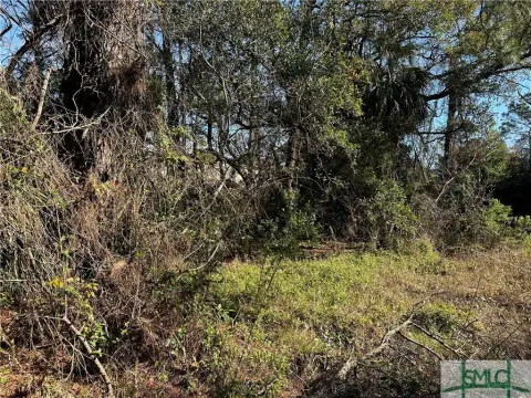 Tybee Island Land Opportunity