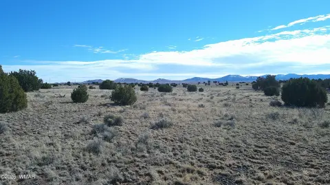 36.5 Acres in Concho, AZ