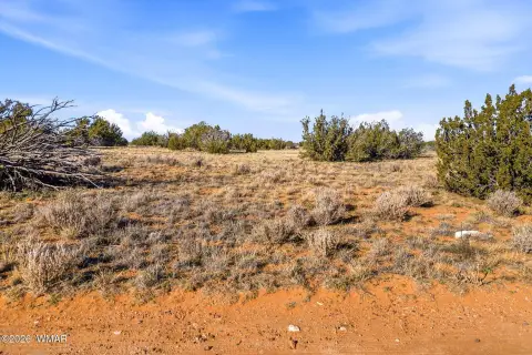 Expansive 40-Acre Arizona Desert Land