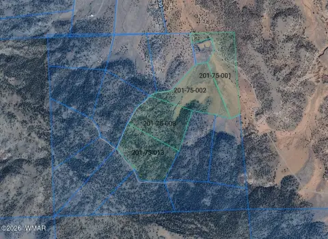 Land in Concho, Arizona