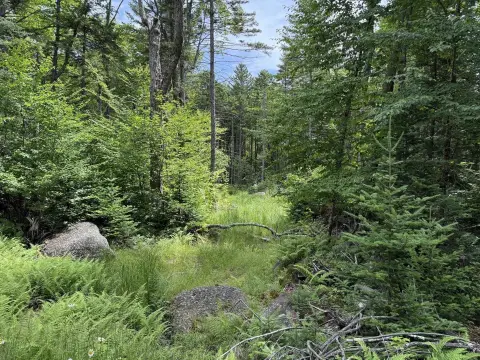 Residential Land Lot in Community