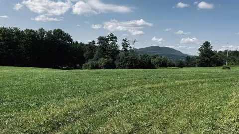 Open Pasture Land Parcel