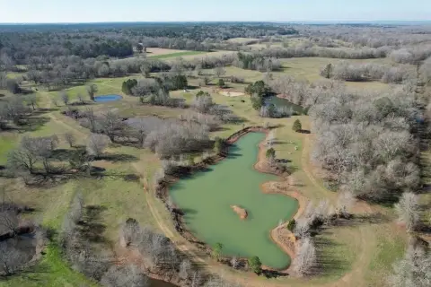 Crockett Land with Multiple Ponds
