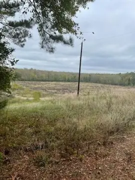 Secluded Acreage Ready to Build