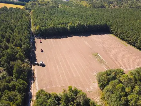 Working Farm with Timber