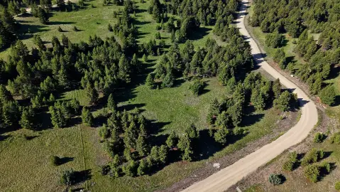 Land in Deer Lodge, MT