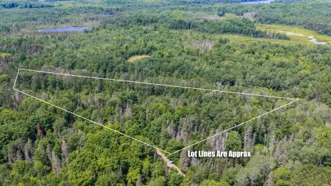 Wooded Residential Land Parcel