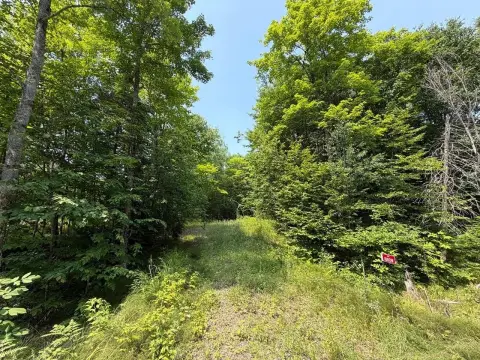 Recreation Land with Electric and Driveway
