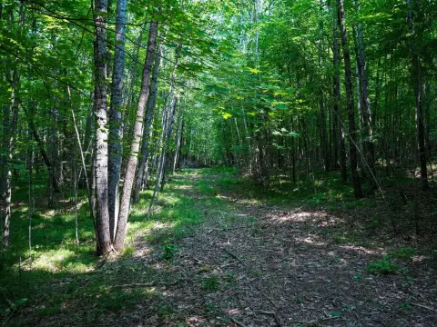 Commercial Land with Highway Frontage
