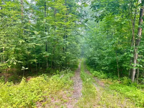 Wooded Recreation Land Parcel