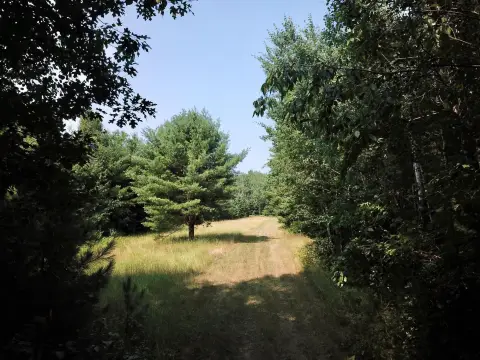 Recreation Land with Lake-Adjacent Access