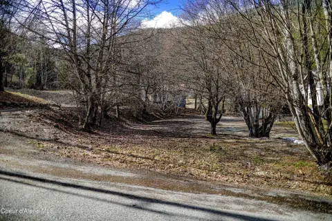Residential Lot in Wardner, ID
