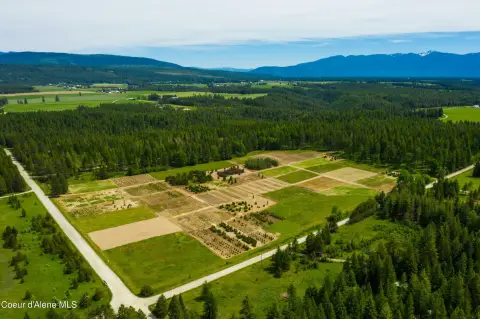 Bonners Ferry Land with Timber