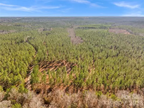 McConnells Land with Creek