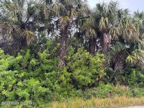 Palm Bay Land For Sale