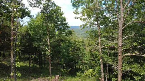 Secluded Land Near Long Pool