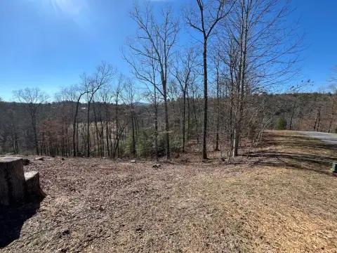 Wooded Lot in Murphy, NC