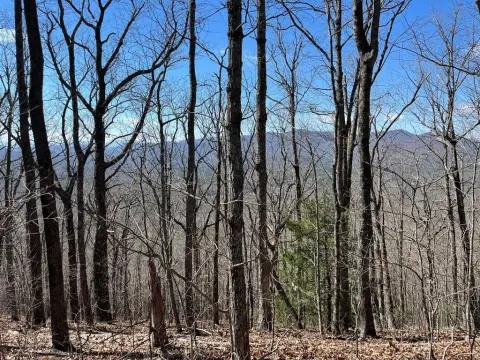 Secluded Mountain Land in Murphy