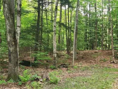 Rural Building Lot with Park Interest