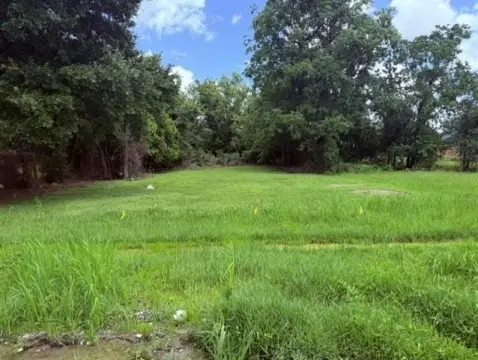 New Orleans Land Opportunity