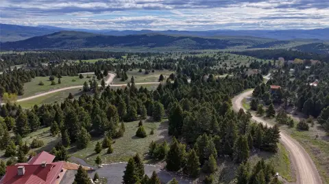 Forested Land in Rock Creek