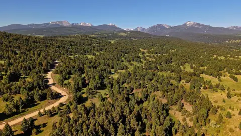 Residential Land in Deer Lodge