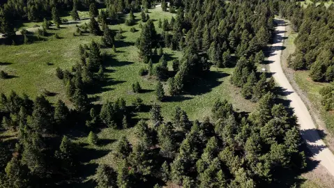 Residential Land in Deer Lodge, MT
