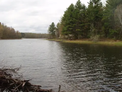 Lakefront Hunting Land Parcel