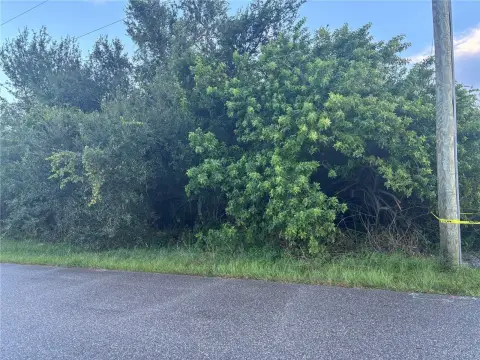 Port Charlotte Vacant Land Opportunity