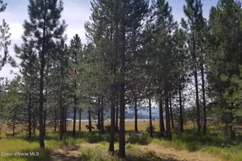 Sagle, ID - 5 Acre Land