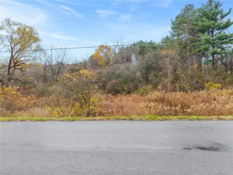 Trumansburg Building Lot Near Taughannock