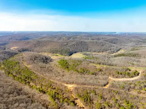 Cushman Acreage with Hilltop Meadow