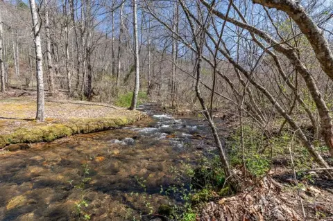 Creek-Frontage Mountain View Lot