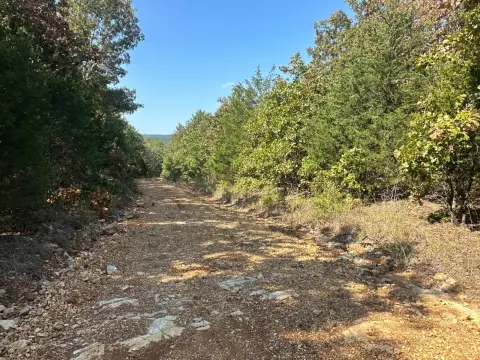 Wooded Hunting Land