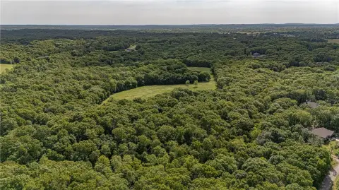 Wooded Homesite in Bella Vista