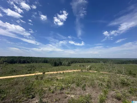Agricultural Land Tract