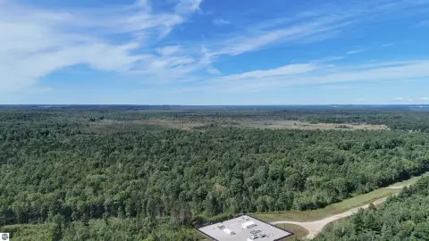 Wooded Hunting Land