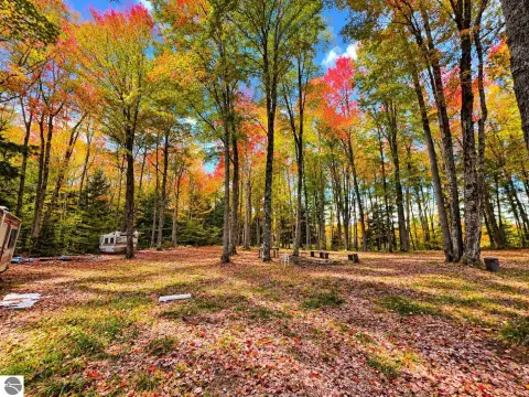 Hunting Land with Cabin