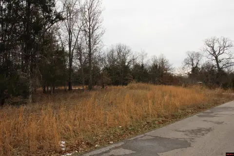 Wooded Lot Near Bull Shoals