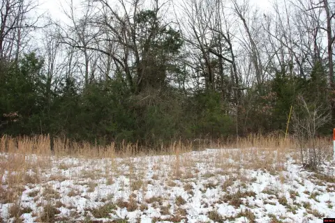 Wooded Lot Near Bull Shoals