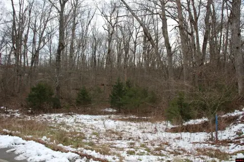 Wooded Lot Near Bull Shoals