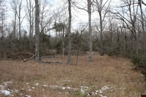 Land For Sale in Flippin