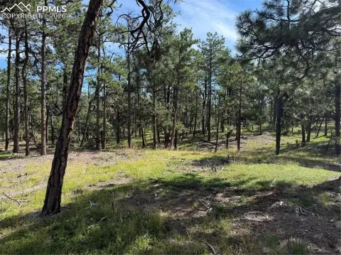 Secluded 5-Acre Colorado Springs Land