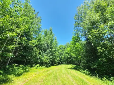 Northwoods Hunting Land with Road Access