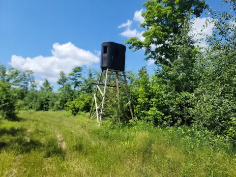Hunting Land with Driveway