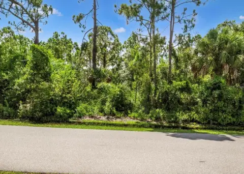 Residential Lot in Punta Gorda