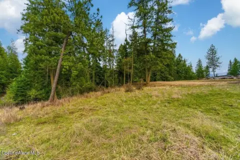 Land Lot with Potential Split